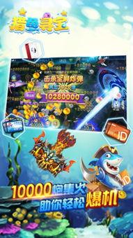 寻宝贵族视频爆料,视频爆料揭示神秘宝藏之谜